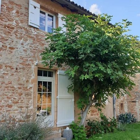 Le Gite Du Carge D'Arlay Charnay-lès-Mâcon Kültér fotó