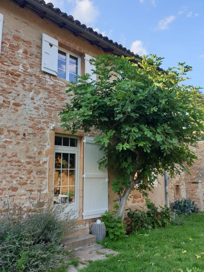 Le Gite Du Carge D'Arlay Charnay-lès-Mâcon Kültér fotó